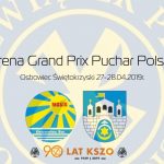 Pływanie: Arena Grand Prix Pucharu Polski Ostrowiec 2019